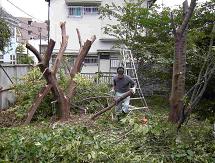 庭木伐採・草刈りを承ります。/ 千葉県栄町